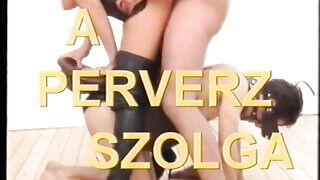 Családi buli - Klasszikus retro magyar feliratos pornvideo