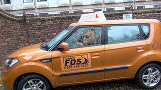 Fake Driving School Amber Rayne esete a termetes barna fasszal